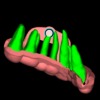 GUIA PARA CIRURGIA PARENDODÔNTICA (MICROCIRURGIA APICAL) - Imagem 2