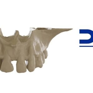 BIOMODELO TC MANDIBULA OU MAXILA